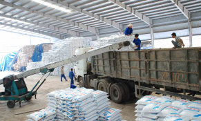 Nâng cấp thủ tục “Cấp giấy phép nhập khẩu phân bón” trên Cổng Thông tin một cửa quốc gia