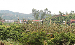 Bắc Giang: Phê duyệt kế hoạch phát triển đô thị Phì Điền gắn với phát triển sinh thái và dịch vụ thương mại