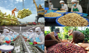 Nông sản Việt và hành trình khẳng định vị thế tại thị trường châu Âu