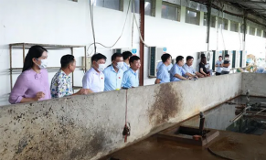 Thái Nguyên định hướng phát triển công nghiệp gắn với bảo vệ môi trường tại Phổ Yên