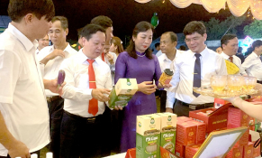 Phú Thọ: Chuẩn hóa, phát triển sản phẩm OCOP gắn với thị trường nhằm nâng tầm cả lượng và chất