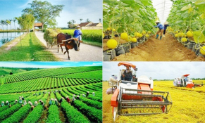 Thúc đẩy thực hiện 03 chương trình mục tiêu quốc gia giai đoạn 2021-2025