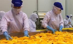 Đa dạng hoá xuất khẩu rau quả: Cần nắm rõ xu hướng và quy định từng thị trường 