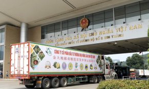 33 tấn quả sầu riêng lần đầu được xuất khẩu chính ngạch qua Cửa khẩu Kim Thành (Lào Cai)