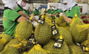 Xuất khẩu rau quả ghi nhận khả quan, tăng 39% trong 5 tháng đầu năm