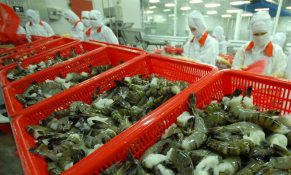 Kim ngạch xuất khẩu thuỷ sản sang Bỉ liên tục duy trì tốc độ tăng trưởng cao trong 7 tháng năm 2022