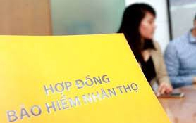 Tranh chấp hợp đồng bảo hiểm: Hợp đồng “lắt léo” hay thói quen của khách hàng ỷ lại vào nhân viên tư vấn?