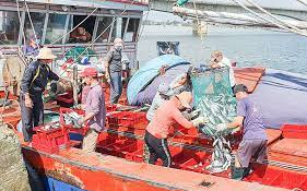 Nghiên cứu các kiến nghị hỗ trợ ngư dân bị ảnh hưởng của giá xăng dầu tăng cao