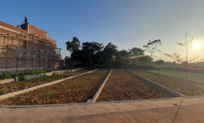 Hà Nội tăng diện tích tách thửa đất ở tối thiểu