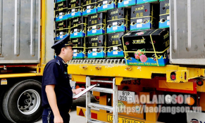 Lạng Sơn: Xuất khẩu hoa quả qua 5 cửa khẩu tăng mạnh