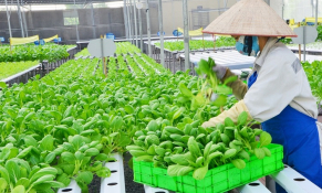 Bộ NN&PTNT phê duyệt kế hoạch tăng trưởng xanh trong nông nghiệp giai đoạn 2021-2030