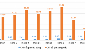 Tổng cục Thống kê chỉ ra 4 yếu tố tiềm ẩn làm tăng CPI trong những tháng cuối năm 2022
