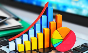 Quy định về tự đánh giá chất lượng thống kê nhà nước