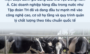 Tự chủ giống bò sữa, TH góp vai trò lớn giải bài toán khó của nông nghiệp Việt Nam