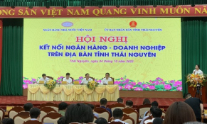 Doanh nghiệp mong muốn các chủ trương tiếp cận tín dụng phải thật sự đi vào thực tiễn, rút ngắn biên độ thực thi