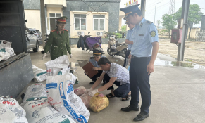 Lực lượng quản lý thị trường ra quân xử lý thực phẩm bẩn, ngăn chặn nguy cơ ngộ độc tăng cao