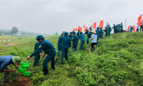 Hà Nội: Chỉ đạo quyết liệt nhằm hạn chế mọi thiệt hại do sự cố, thiên tai gây ra