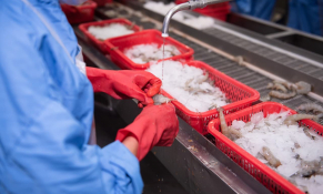 Cần đăng ký cơ sở bán thành phẩm khi chế biến thuỷ sản xuất khẩu vào EU 