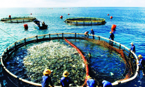 Ngành thủy sản Việt Nam đang đối mặt với nhiều thách thức, đặc biệt là biến đổi khí hậu 