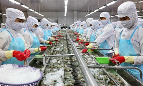 Dự báo đến năm 2030 giá trị kim ngạch xuất khẩu thủy sản đạt 12 tỷ USD/năm