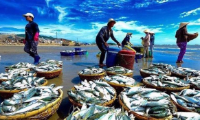 Triển khai gói tín dụng 15.000 tỷ đồng đối với lĩnh vực lâm sản, thủy sản đến hết tháng 6/2024