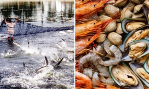 2 tháng đầu năm 2024, xuất khẩu thủy sản của Việt Nam tăng 22,3% so với cùng kỳ năm ngoái 