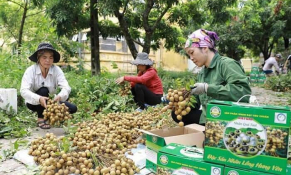 Vietnam Airlines ra mắt chương trình kích cầu du lịch nội địa