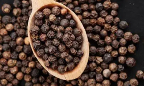 Thị trường hạt tiêu thế giới và vị thế của Việt Nam trong dòng chảy thương mại toàn cầu