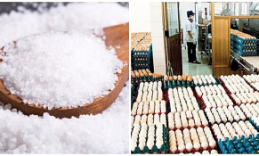 Đã có hạn ngạch thuế quan nhập khẩu muối, trứng gia cầm năm 2023