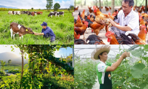 Bộ NN&PTNT: Rất cần một khung khổ pháp lý đầy đủ về chính sách khuyến khích phát triển kinh tế trang trại nông nghiệp