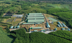 Nông nghiệp BAF tăng 32% lãi sau kiểm toán