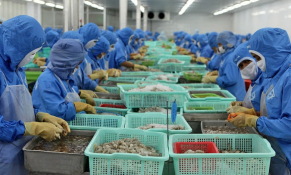 Tháng 7/2022: Xuất khẩu thuỷ sản hạ nhiệt, xuống dưới 1 tỷ USD