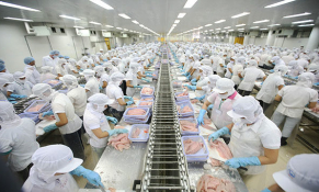 VASEP: Lãi suất và các khoản phí của ngân hàng quá cao đang gây khó cho các doanh nghiệp thuỷ sản