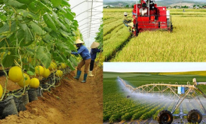 Giải pháp đẩy mạnh và nâng cao hiệu quả hoạt động xuất khẩu nông sản theo hướng bền vững