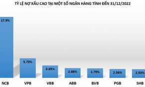 VPBank có số dư nợ xấu cao nhất ngành, tỷ lệ nợ xấu một nhà băng gần 18%