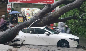 Đề nghị doanh nghiệp bảo hiểm thực hiện ngay tạm ứng, bồi thường thiệt hại do Bão số 3 - Yagi