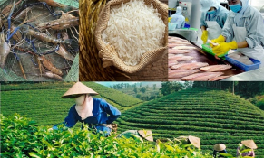 Nông sản, thực phẩm và đồ uống đẩy mạnh xuất khẩu để khẳng định giá trị 