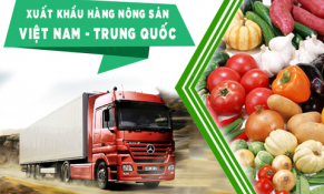 Bộ Công Thương phát hành Cẩm nang Hướng dẫn xuất khẩu rau quả chính ngạch sang thị trường Trung Quốc