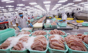 Xuất khẩu thủy sản Việt Nam: Hai kịch bản cho nửa cuối năm 2025