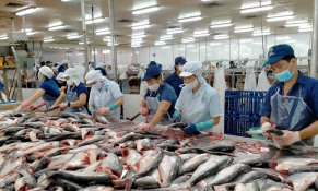 VASEP: Xuất khẩu cá tra đạt 211,4 triệu USD đối với khối thị trường CPTPP