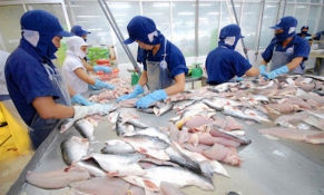 Giải pháp tăng năng lực cạnh tranh cho ngành thuỷ sản 