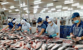 VASEP: Xuất khẩu cá tra sang thị trường ASEAN ước đạt hơn 152 triệu USD
