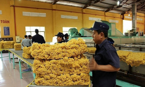 Xuất khẩu cao su Việt Nam trong 8 tháng năm 2022 đạt trên 2 tỷ USD