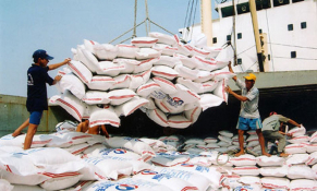 Việt Nam giữ vững ngôi đầu xuất khẩu gạo vào thị trường Philippines