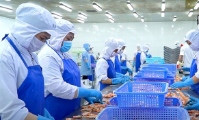 VASEP: Xuất khẩu thủy sản Đồng bằng sông Cửu Long tăng trưởng trong khó khăn