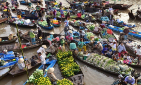 Sắp diễn ra chương trình Agritechnica Asia Live 2022 tại Cần Thơ