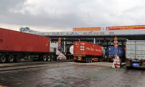 Cục Hải quan TP. HCM bắt giữ hơn 2.000 vụ vi phạm, chuyển đề nghị khởi tố 43 vụ 