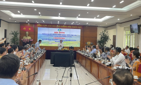 Ngành nông nghiệp Việt Nam thích ứng với quy định chống phá rừng của EU