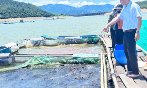 Huyện Vĩnh Thạnh, Bình Định: Thực hiện có hiệu quả các chương trình mục tiêu quốc gia và sản phẩm OCOP 