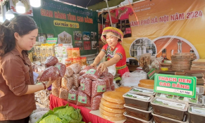 Tiếp tục hỗ trợ tiêu thụ nông sản, Hà Nội khai mạc Tuần hàng Việt năm 2024